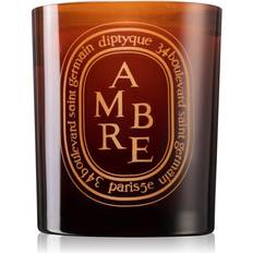 Diptyque Ambre Doftljus 300g