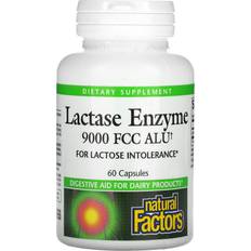 Lactase Natural Factors Lactase Enzyme 60 stk