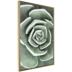 Inredningsdetaljer Arkiio Affisch Beautiful Succulent [Poster] 20x30 Poster