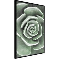 Inredningsdetaljer Arkiio Affisch Beautiful Succulent [Poster] 40x60 Poster