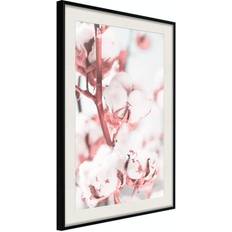 Inredningsdetaljer Arkiio Affisch Blooming Cotton [Poster] 30x45 Poster