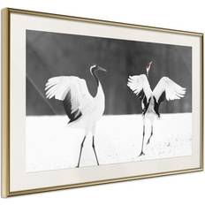 Arkiio Affisch Dancing Cranes [Poster] 60x40 Poster