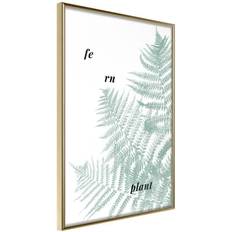 Inredningsdetaljer Arkiio Affisch Fern Plant [Poster] 40x60 Poster