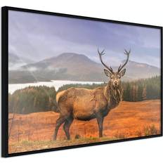 Inredningsdetaljer Arkiio Affisch Scottish Stag [Poster] 45x30 Poster