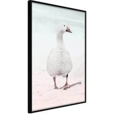 Arkiio Affisch Winter Duck [Poster] 20x30 Poster