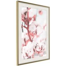 Inredningsdetaljer Arkiio Affisch Blooming Cotton [Poster] 30x45 Poster