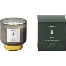 Bloomingville Ljusstakar, Ljus & Doft Bloomingville Nordic Forest Doftljus 222g