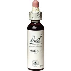 Vitaminer & Kosttilskud Mezina Bach Walnut 20ml