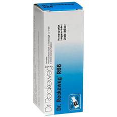 Reckeweg Dr. Reckeweg R 66 50 ml