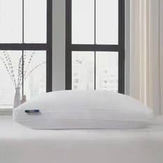 Cotton Down Pillows Serta European Down Pillow (66x45.7)