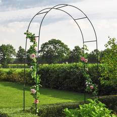 Rose Arch