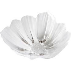 Anemone