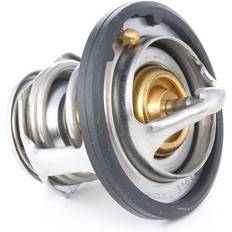 Ridex Termostat 316T0080
