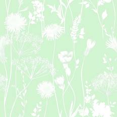 Meadowsweet (WL-165580)