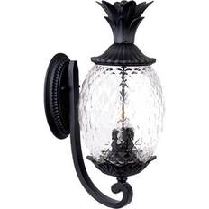 Acclaim Lighting Lanai 3L Wall lamp