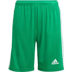 adidas Boy's Squadra Shorts - Team Green/White