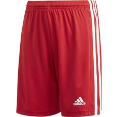 adidas Boy's Squadra Shorts - Team Power Red