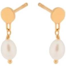 Pernille Corydon Ocean Dream Earsticks - Gold/pearl