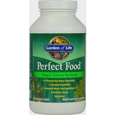 Garden of Life Perfect Food 300 st