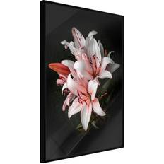 Arkiio Affisch Lilies [Poster] 30x45 Poster