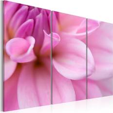 Vaaleanpunainen Kehystetty taide Arkiio Pink dahlia 60x40 Framed Art