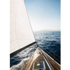 Painting Yacht Poster 50x70cm