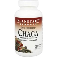 Chagapulver Kosttillskott Planetary Herbals Full Spectrum Chaga 1000mg 120 st