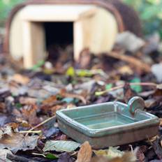 Hedgehog Water