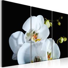 Orkide Arkiio Snöig orkidé 120x80 Tavla