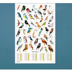Luckies of London Garden Birds Plakat