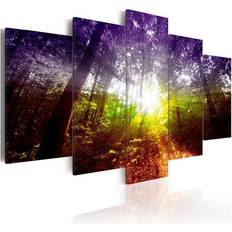 Lila Tavlor Arkiio Rainbow Forest 100x50 Tavla 100x50cm