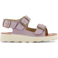 Spike - Lilac
