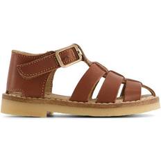 Noah - Chestnut