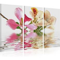 Artgeist Orchid With Colorful Spots 120x80 sp. z o. o Tavla
