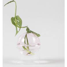 Standing Flower Bubble Vase, Rose