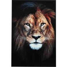 Glass Malerier Nordic Furniture Group Picture Lion Black Maleri 80x120cm