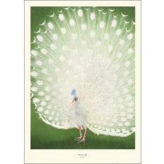 Posters Posters & Frames Peacock Plakat 30x40cm