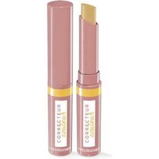 Yves Rocher Color-Correcting Concealer Bluish Under Eyes Corrector