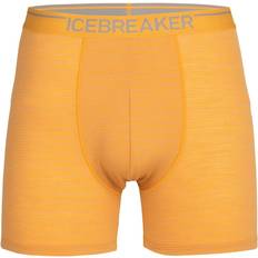 Mens boxers Icebreaker Men's Anatomica Boxers Electric/Praline