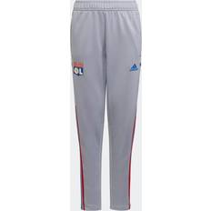 Argento - Sì Pantaloni Adidas Pantaloni da allenamento Tiro 21 Olympique Lyonnais - Halo Silver