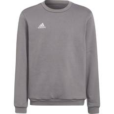 adidas Felpa Entrada 22 - Black