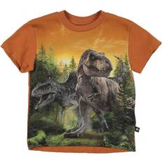 Molo Roxo - Dino Forest (6W22A204 7921)