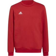 Fußball - Rot Pullover Adidas Entrada 22 Sweatshirt - Feuerrot/Weiß