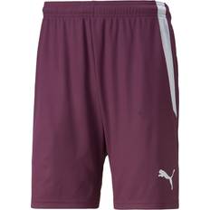 Fodbold - Orange Shorts Puma Teamliga Shorts Jr - Orange
