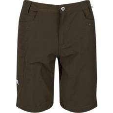 Regatta Delgado Shorts Sand