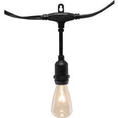 LumaBase Electric Commercial Grade String Light 12 Lamps