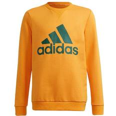 Guld Sweatshirts Barnkläder adidas Performance Sweatshirt - Semi Solar Gold/Collegiate (GS4274)