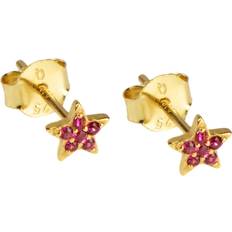 Rubiner Smycken Hultquist Hultquist Ruby Star Earstud Dam Stiftörhängen Dimensions: 0.5