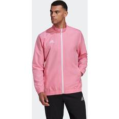 Fußball - Herren - Rosa Bekleidung Adidas Entrada 22 Präsentationsjacke - Rosa