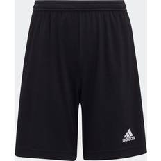 Adidas Red Shorts Adidas Entrada Short-red-xs